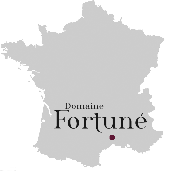 Localisation géographique du domaine : sud de la France, Gard